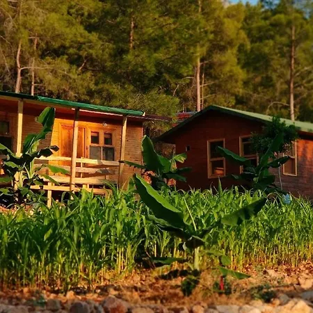 Likya Korsan Koyu Kamp Campsite *